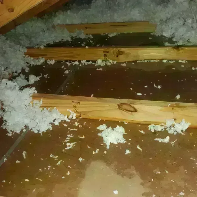 Attic Water Damage in Bolton, MA